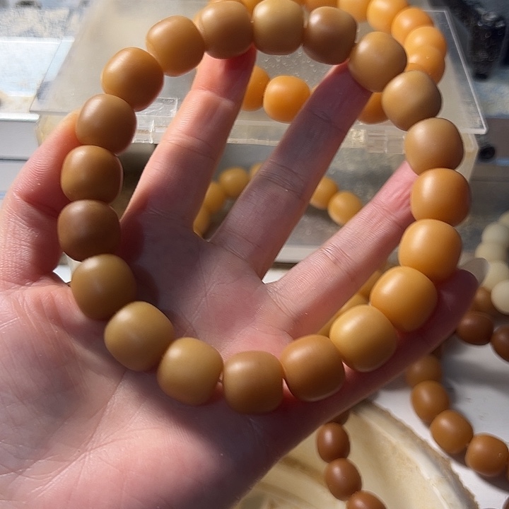 手串菩提根/象牙果
