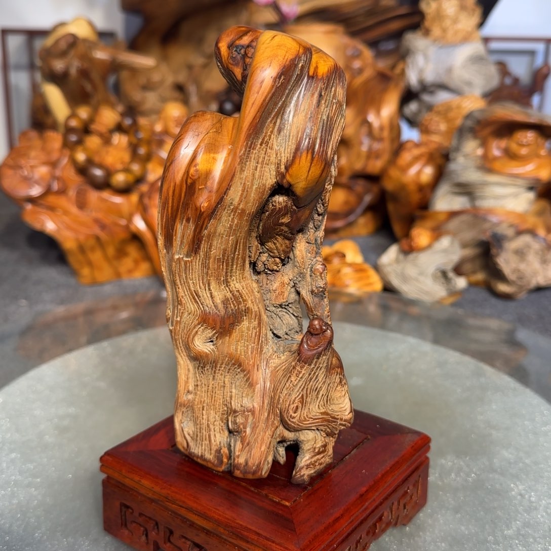 柏木太行崖柏88888888