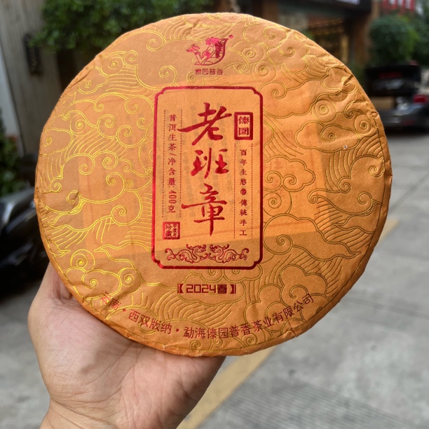鲜爽度高【2024老班章 】古树春茶  鲜香花香扑面而来