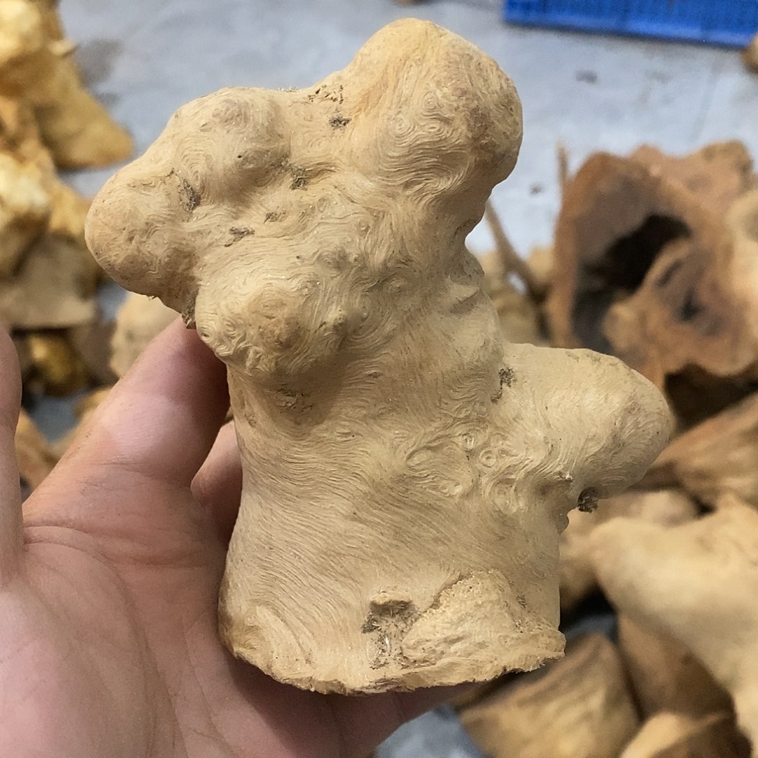 勿***心荔枝木荔枝木原料