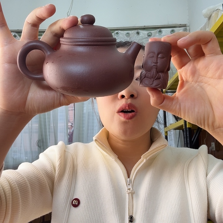 紫砂茶壶紫泥底槽青容天300cc