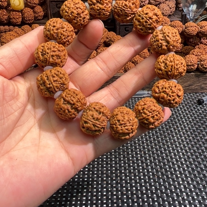 月***!金刚菩提手串蜂窝