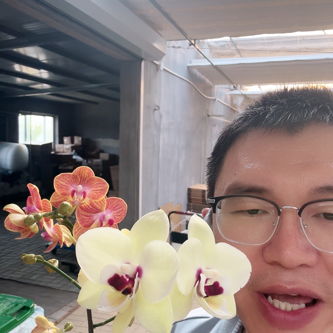 完全开放蜜橙➕梧桐