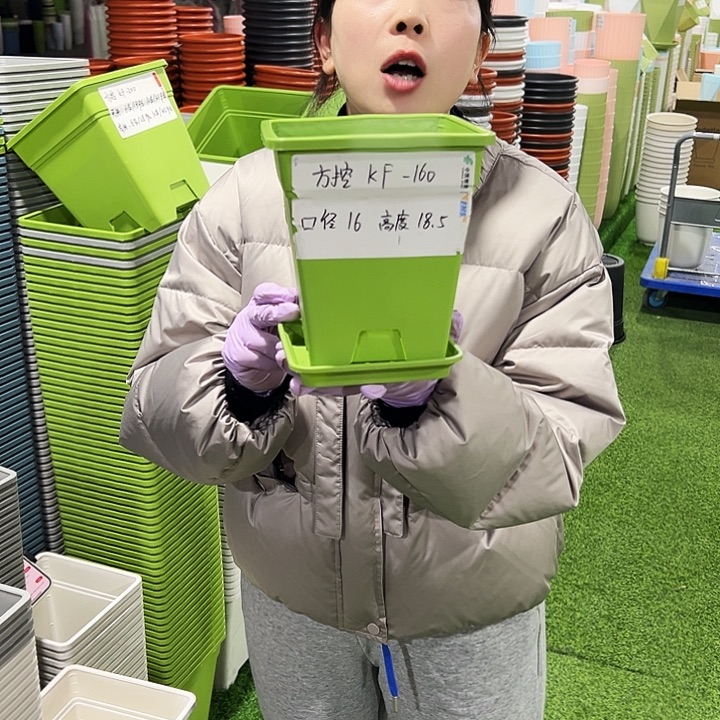 正品方盆口16高18果绿5只带托