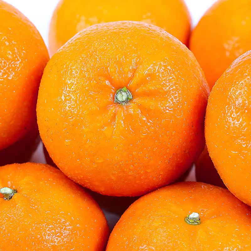 广西无核沃柑 新鲜当季水果 4.8斤