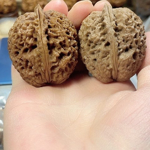 文玩核桃把件铁将军带彩阴阳对色差41