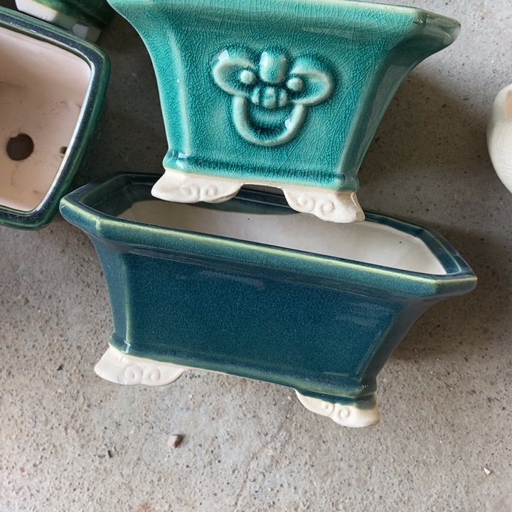 花盆花开了一个人