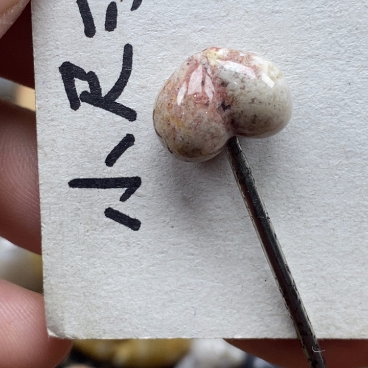 硅化珊瑚（珊瑚玉）未镶嵌颈饰