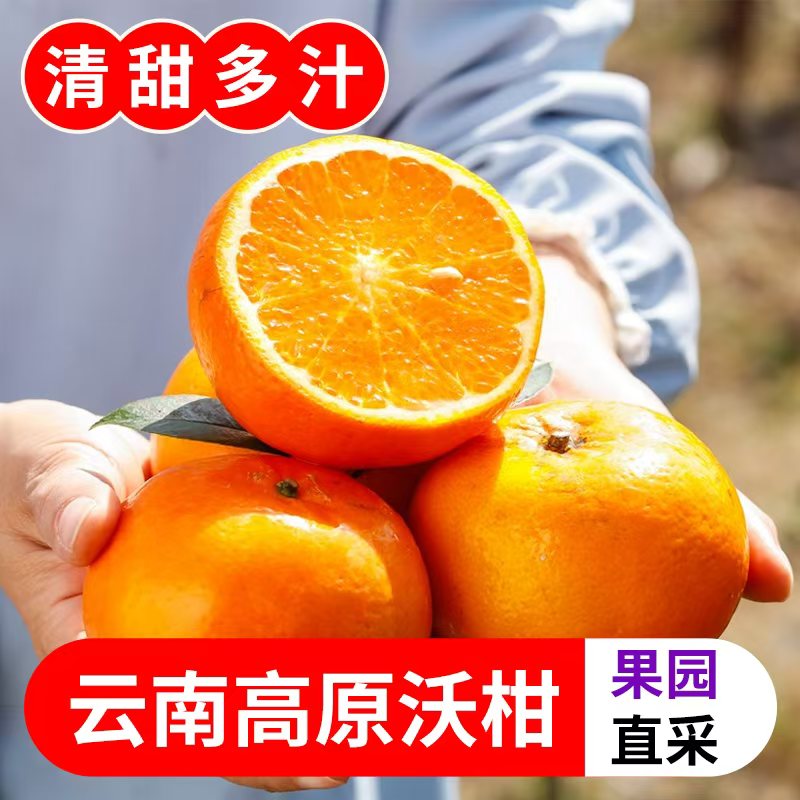 【坏果包赔】云南高原花皮沃柑新鲜水果包邮