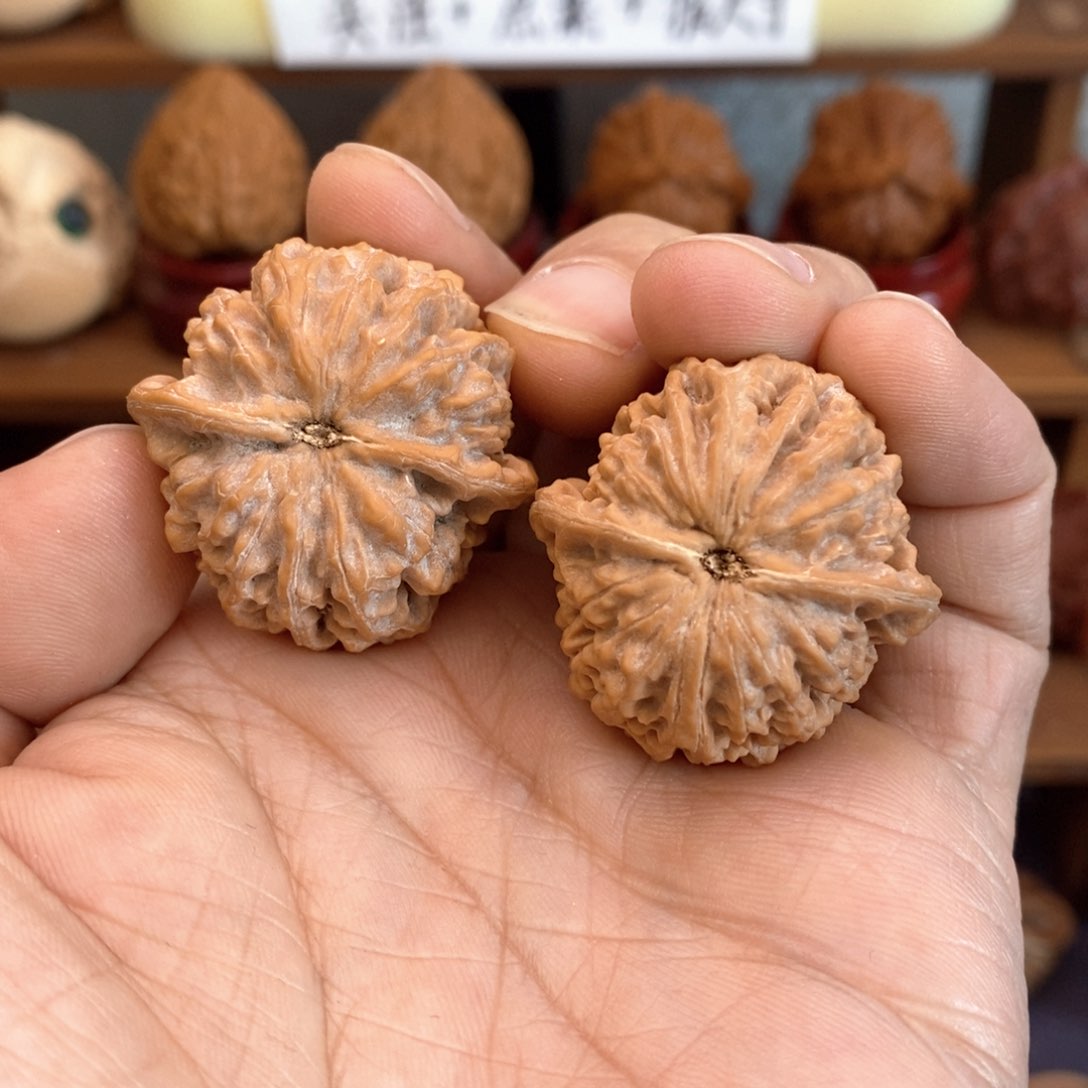 文玩核桃吊坠32野生小手捻白茬