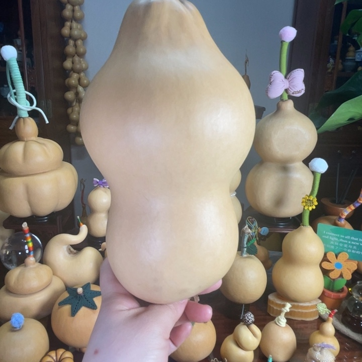 李***板厚皮葫芦粗莲花头