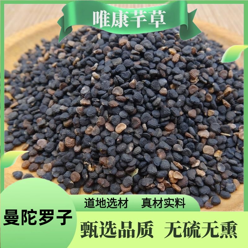 芊草 【曼陀罗子】 精品曼陀罗子 无硫曼陀罗子 另售桔梗