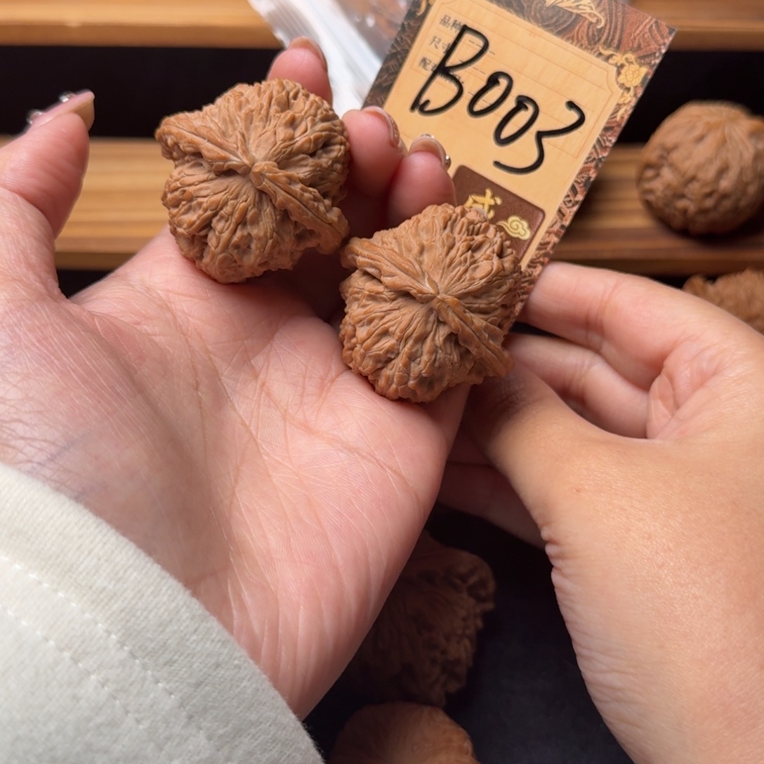 核桃b003白狮子4.0+