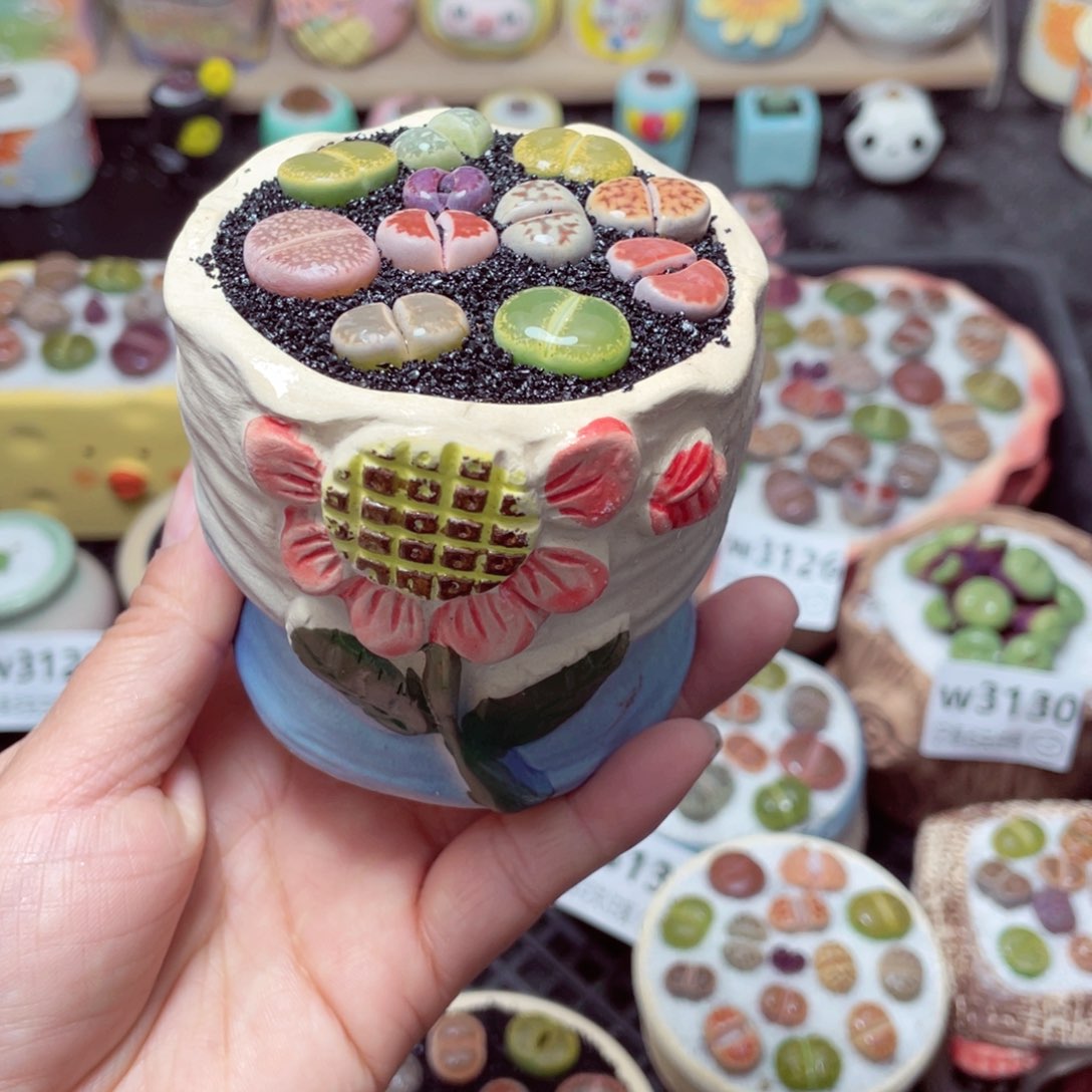 w3100 带盆土发货 -零下地区拍保温箱