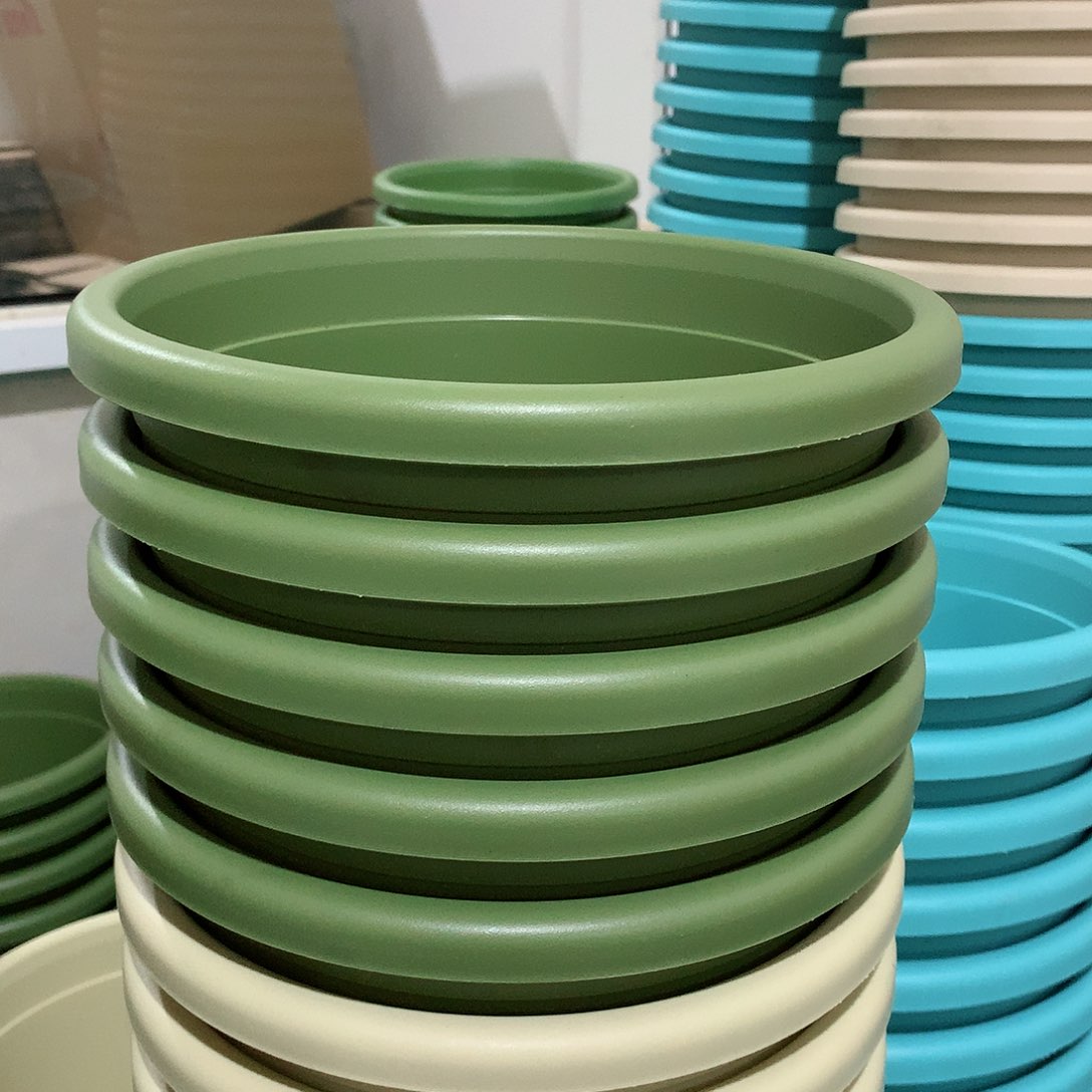 树脂四季口21果绿10个无托