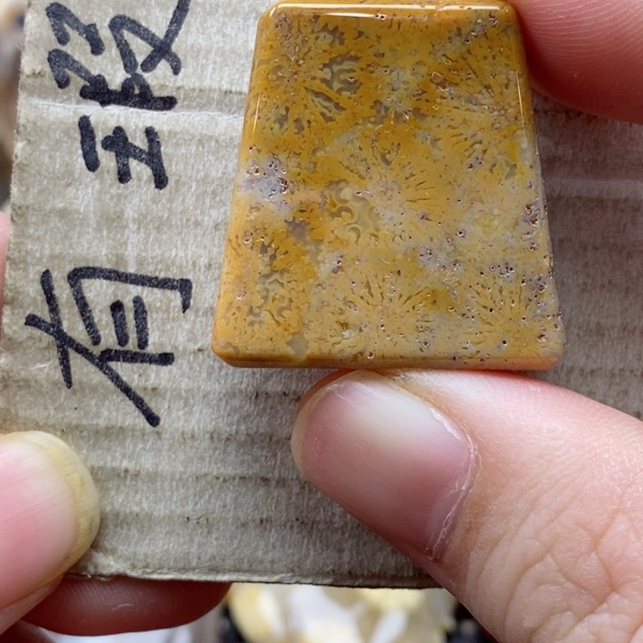 硅化珊瑚（珊瑚玉）颈饰未镶嵌小吊坠