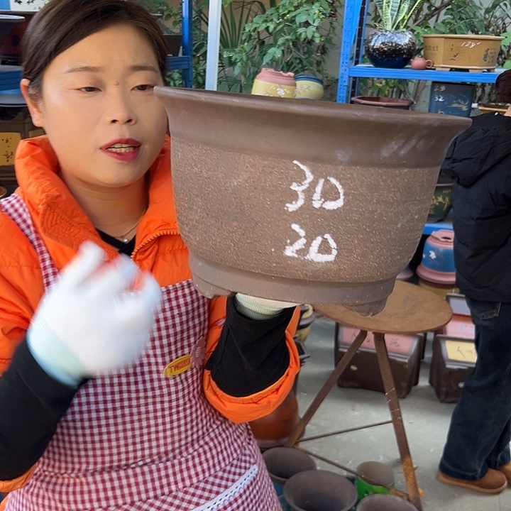 30拉毛小马花盆花盆花盆