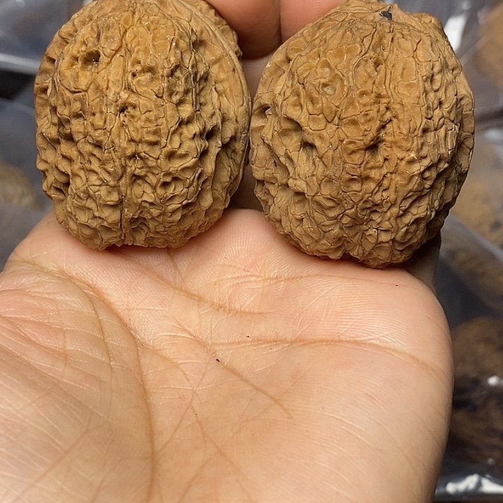 文玩核桃把件云南铁核桃26