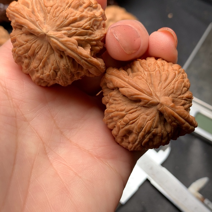 文玩核桃吊坠白狮子