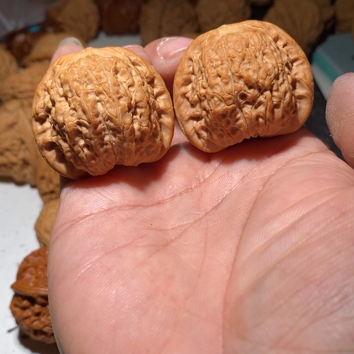 文玩核桃吊坠?*?核桃