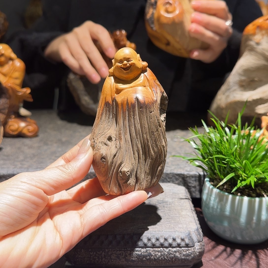 柏木（崖柏）太行集团董事