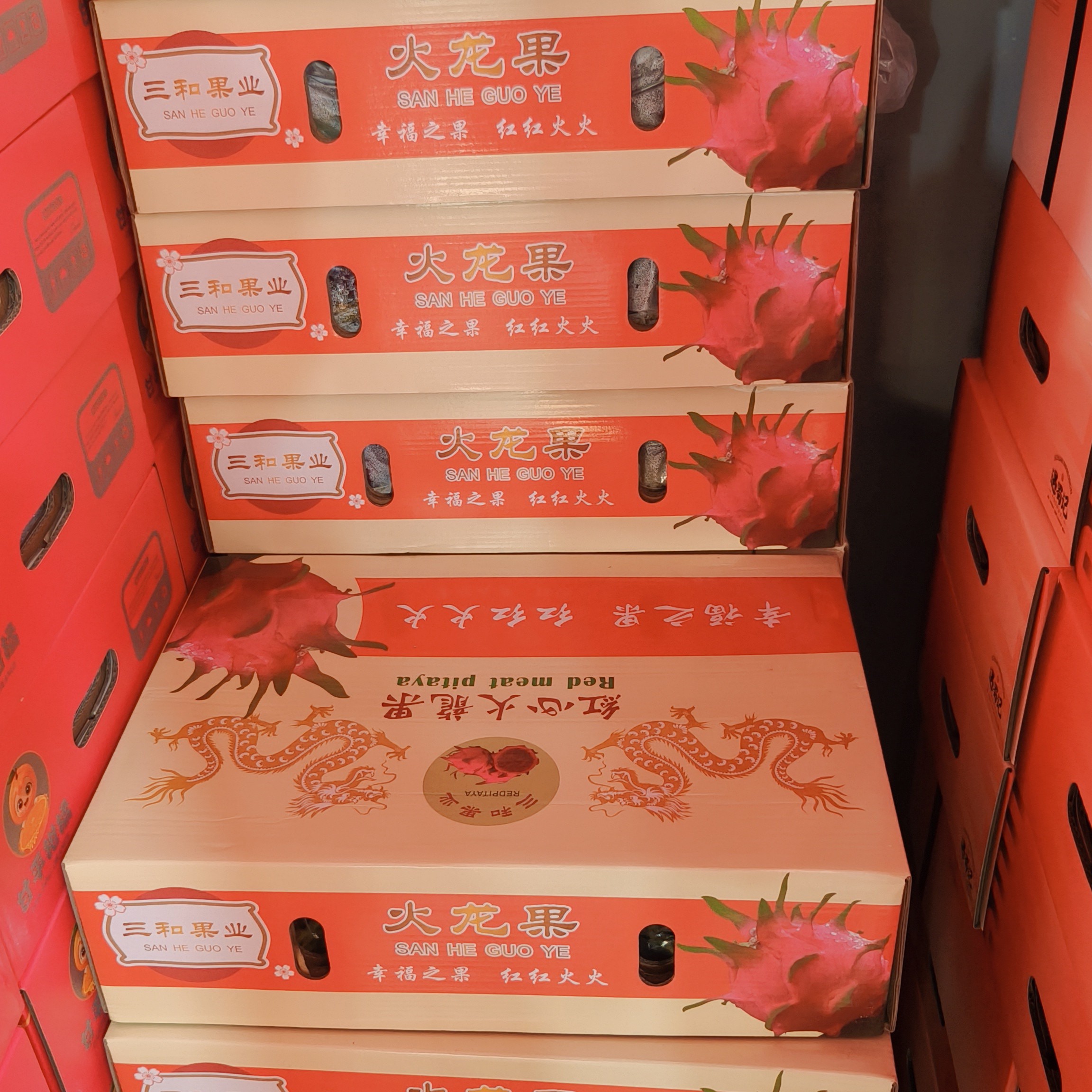 H火龙果礼盒