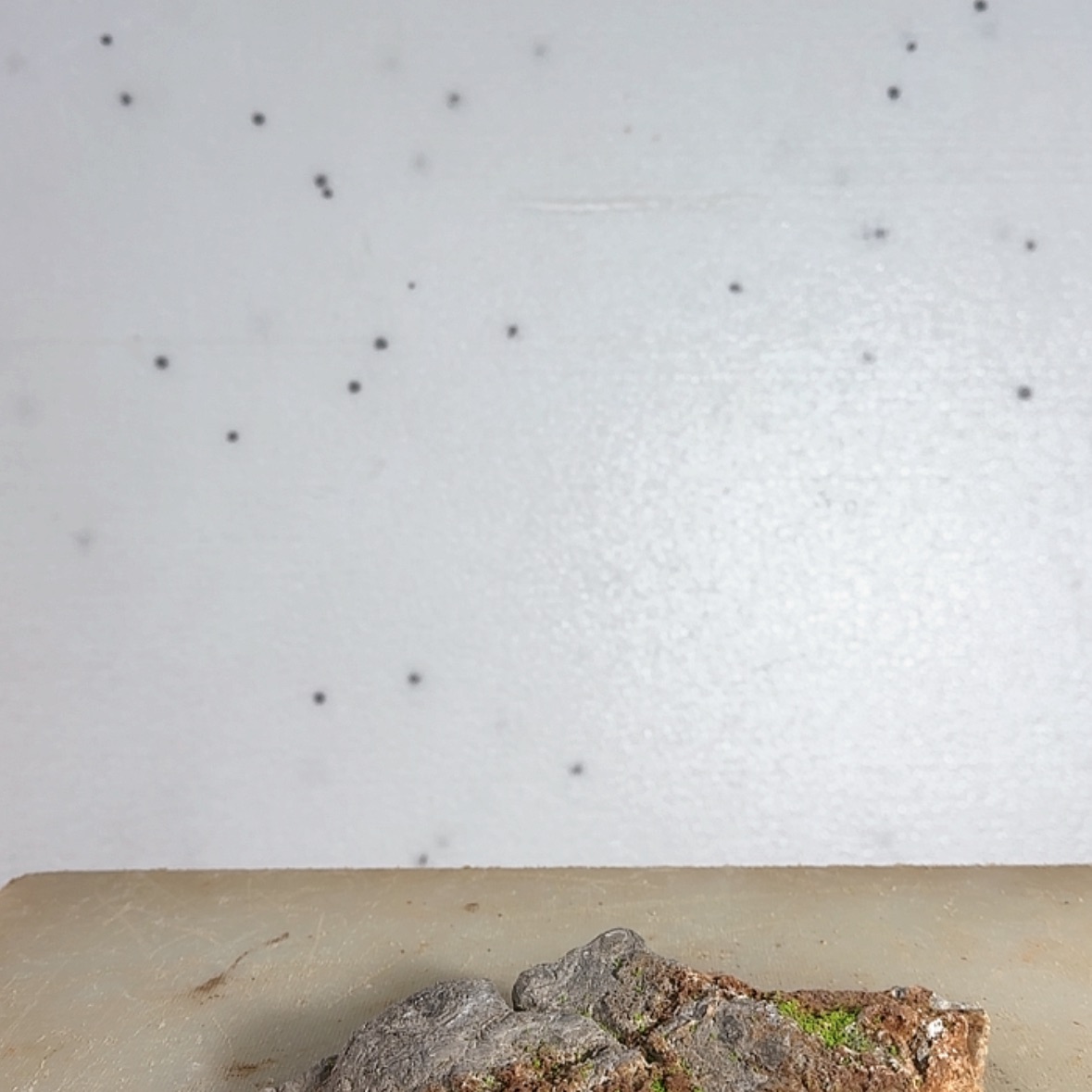 【闪购商品】香榧木艸*在家的感觉真好痛苦好可怕的是