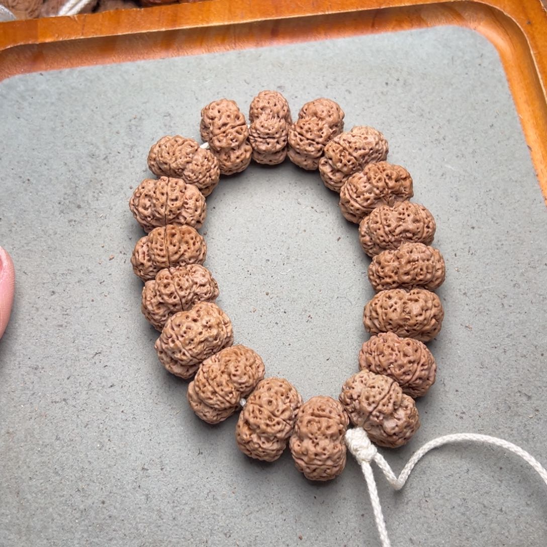 菩提23号金刚菩提蜂王夹板22