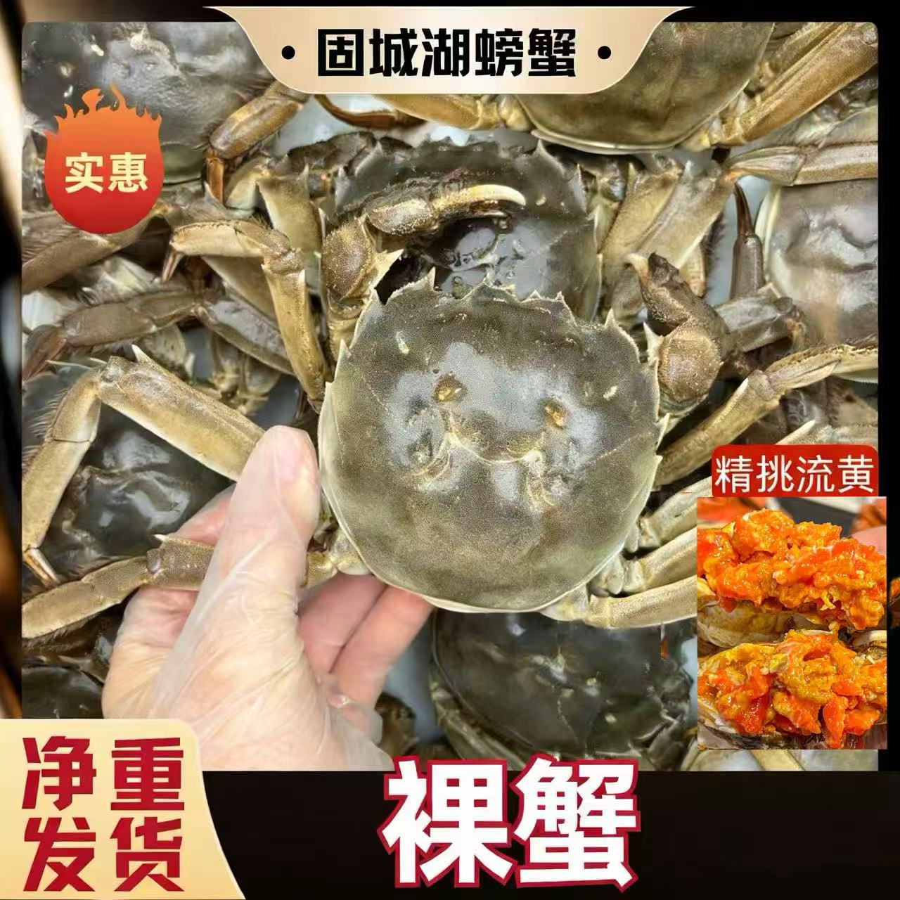 【活蟹】14只母蟹江苏河蟹1.4-1.7两蟹农直供 产地直发