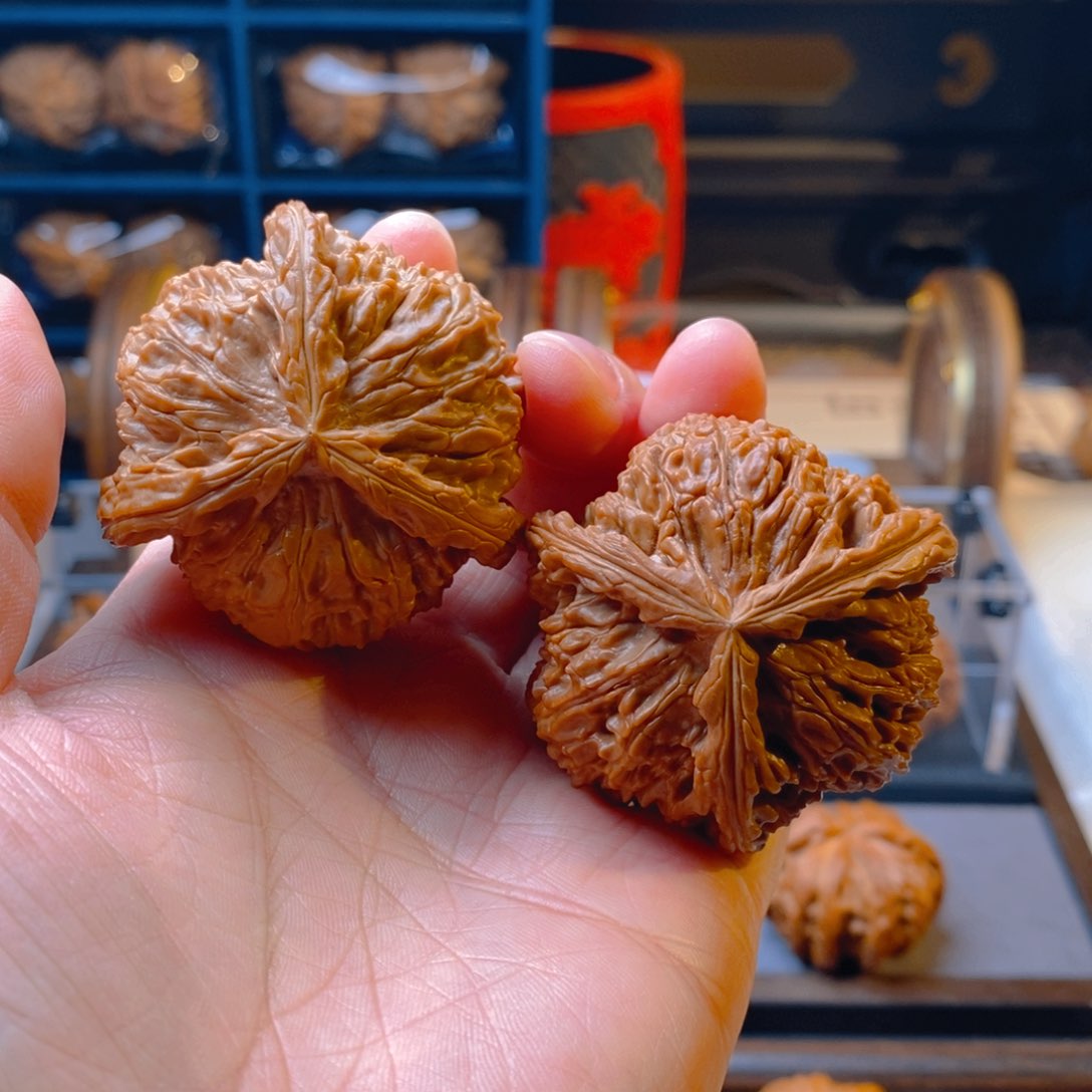 精品核桃把件50白奔