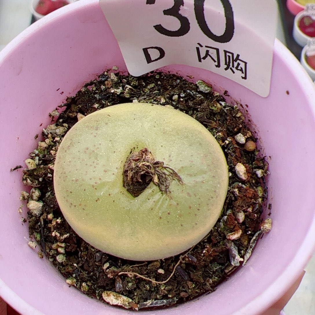 ?**?我很喜欢这个D30