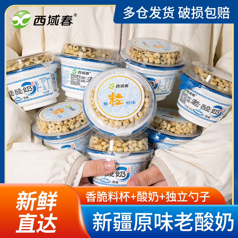 新疆西域春酸奶牧场0+老酸奶益生菌180克X10杯装坚果谷物老酸奶