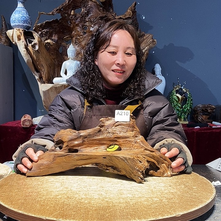 星****儿210株木底座随行根艺