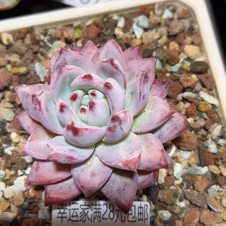 幸运的是我还没遇到过这么