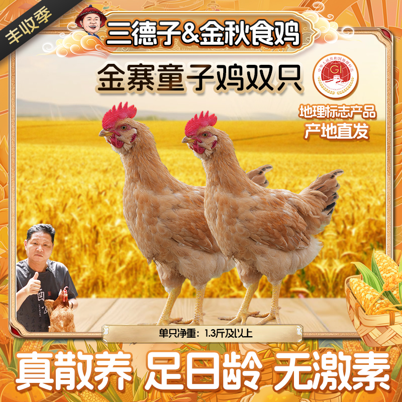 三德子【金寨童子鸡2只】孩子爱吃山地散养跑山鸡清蒸白切安徽发货