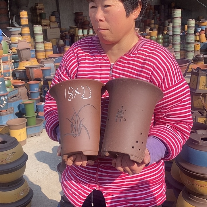 紫砂花盆盆栽花卉苗木种植