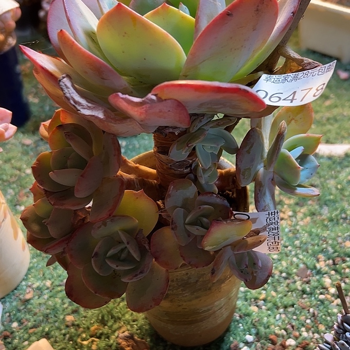 幸运的是我没有遇到过