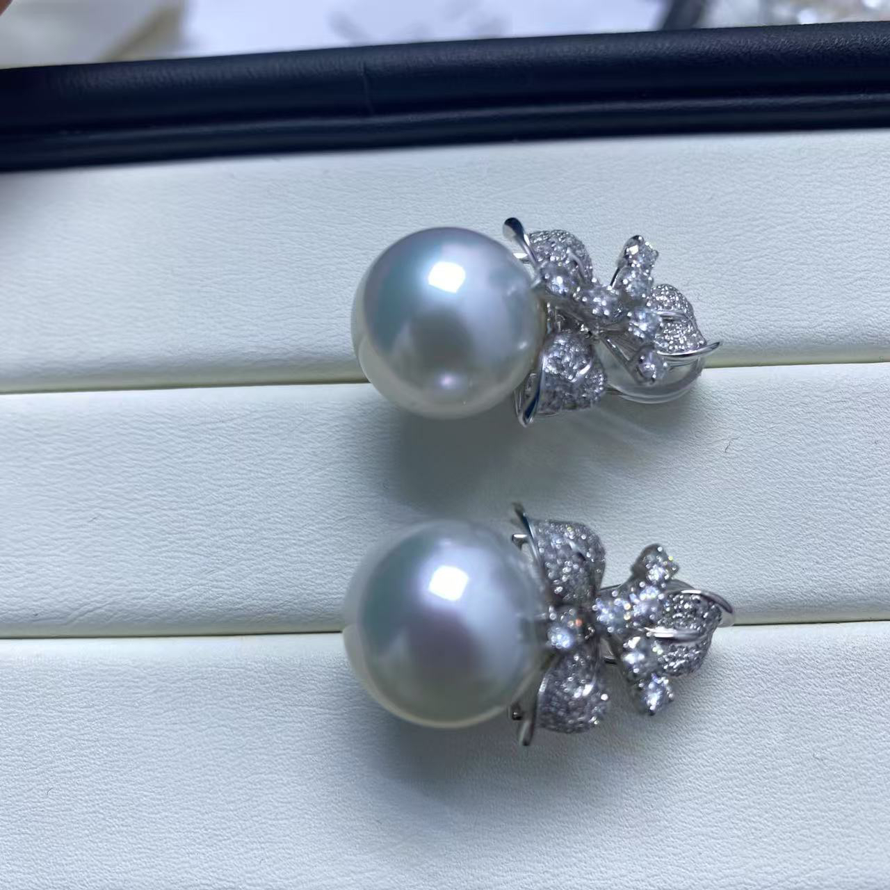 天然海水大点位澳白耳拍