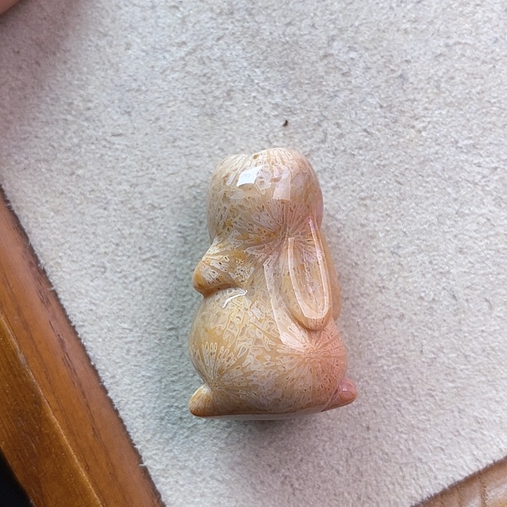 硅化玉颈饰未镶嵌