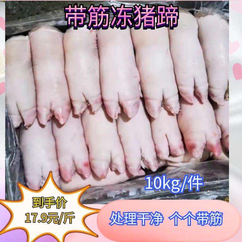 冷冻带筋七寸猪蹄