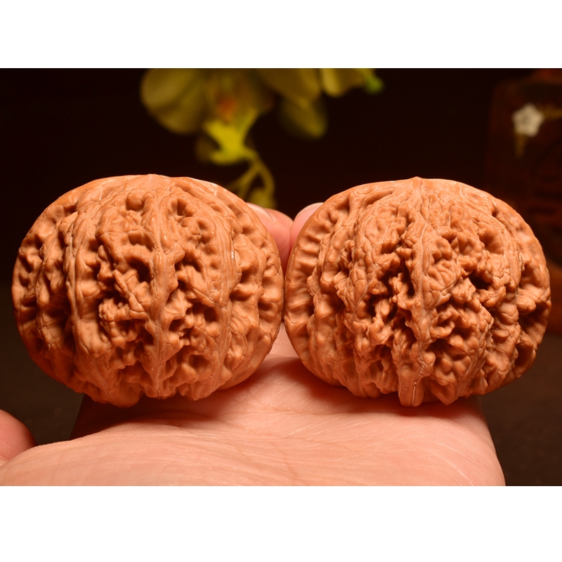 实拍！阴干定型50mm原树大粗筋文玩核桃狮子头红皮精品收藏手把件