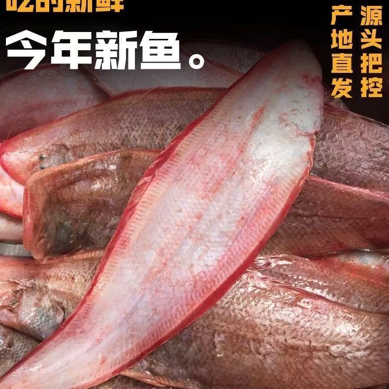 （鲜冻）大号野生龙利鱼舌头鱼踏板鱼 到手10大条 半斤左右/条 