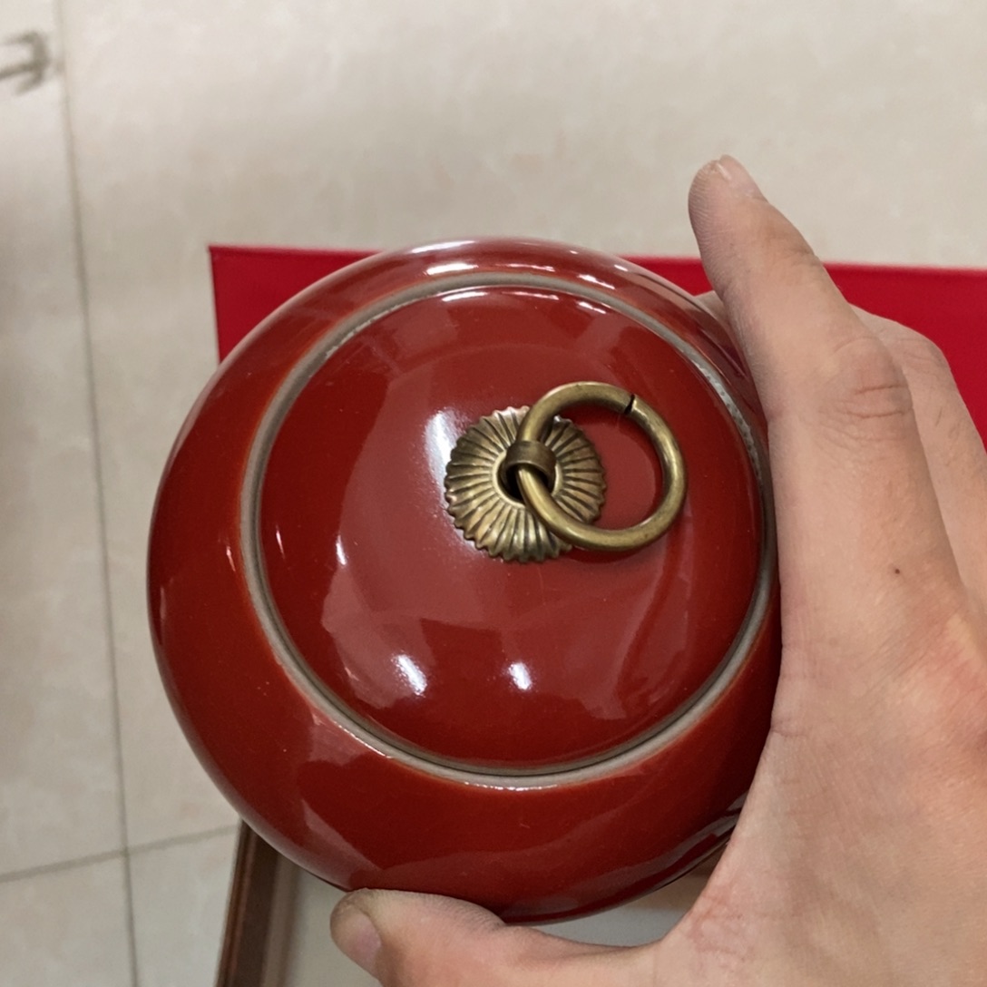 杯直播链接直播链接