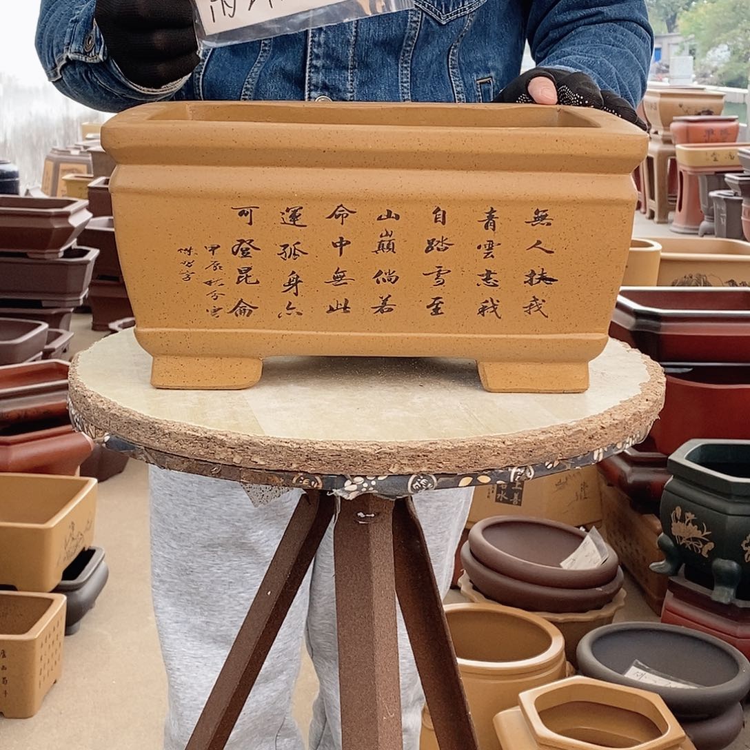 紫砂花盆紫砂花盆