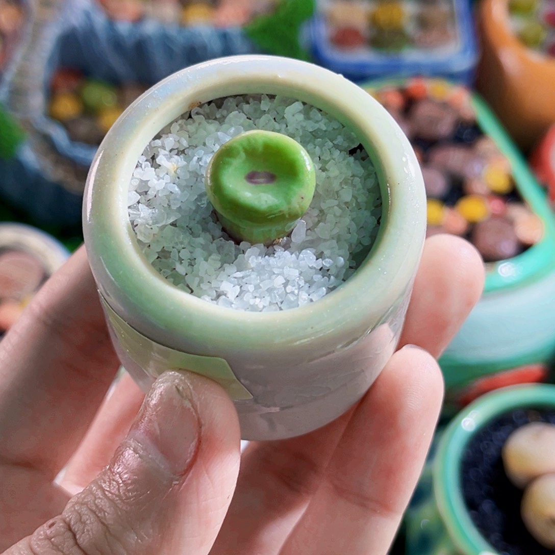 013小红嘴1.4cm连盆带土全场包邮