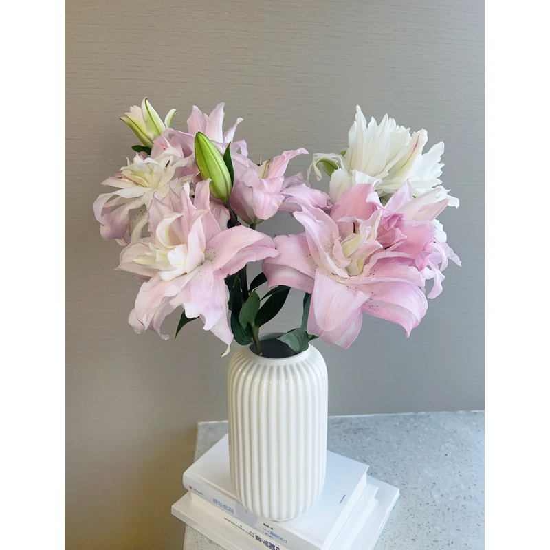 【花言罐舍】冲浪者重瓣香水百合一单包邮云南鲜花昆明基地现采现发