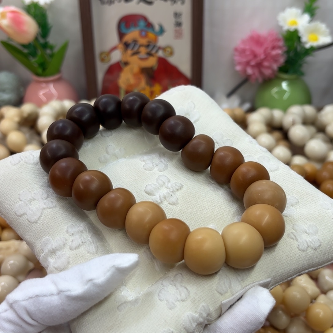 吊坠菩提根/象牙果20干磨瑕疵落地果肠888