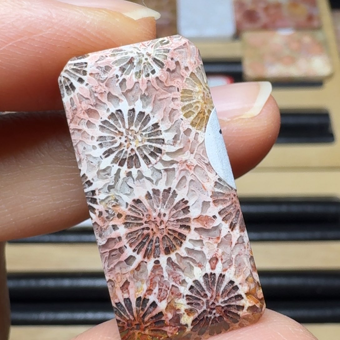 硅化玉清晰彩花未镶嵌