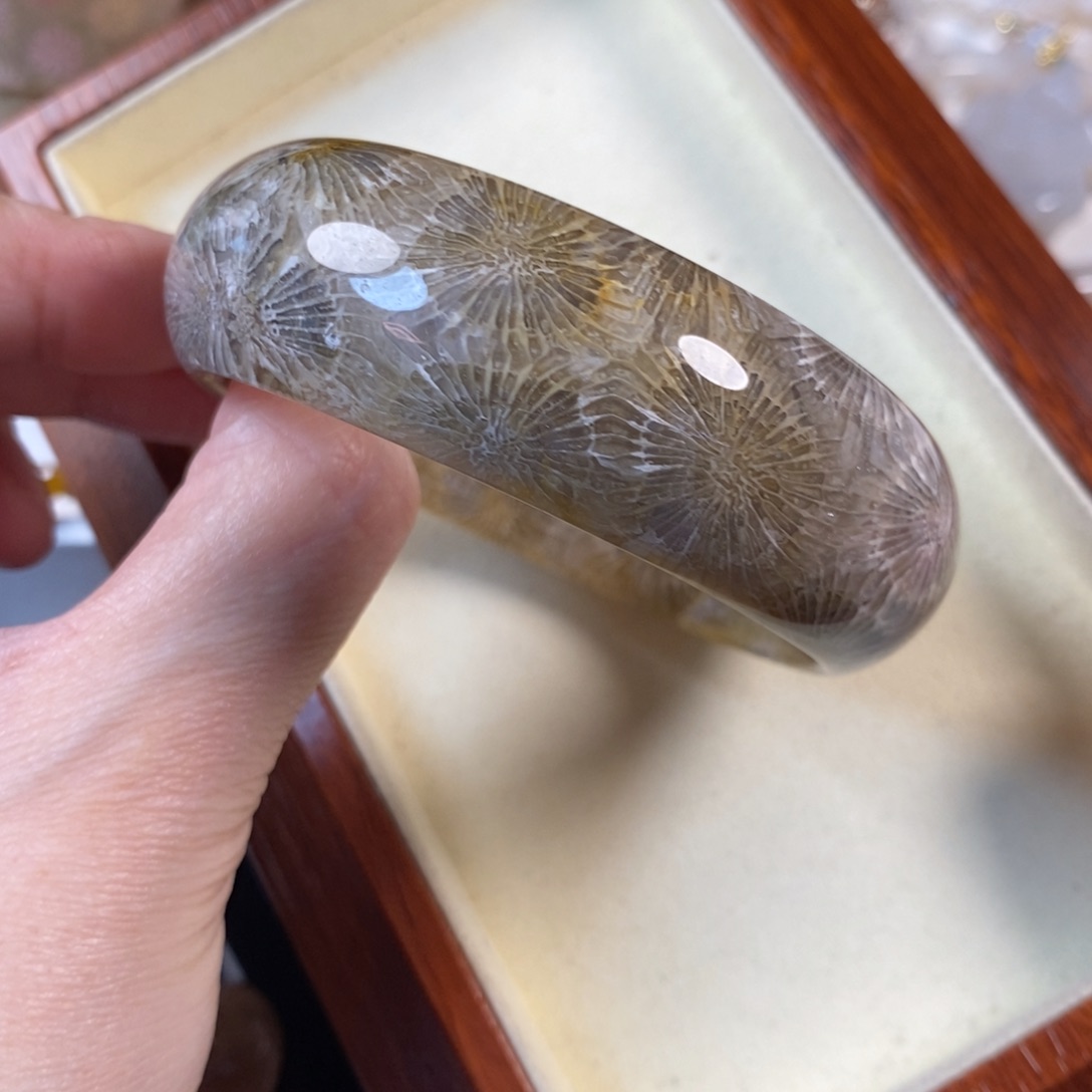 硅化珊瑚（珊瑚玉）未镶嵌手镯59.8口7700