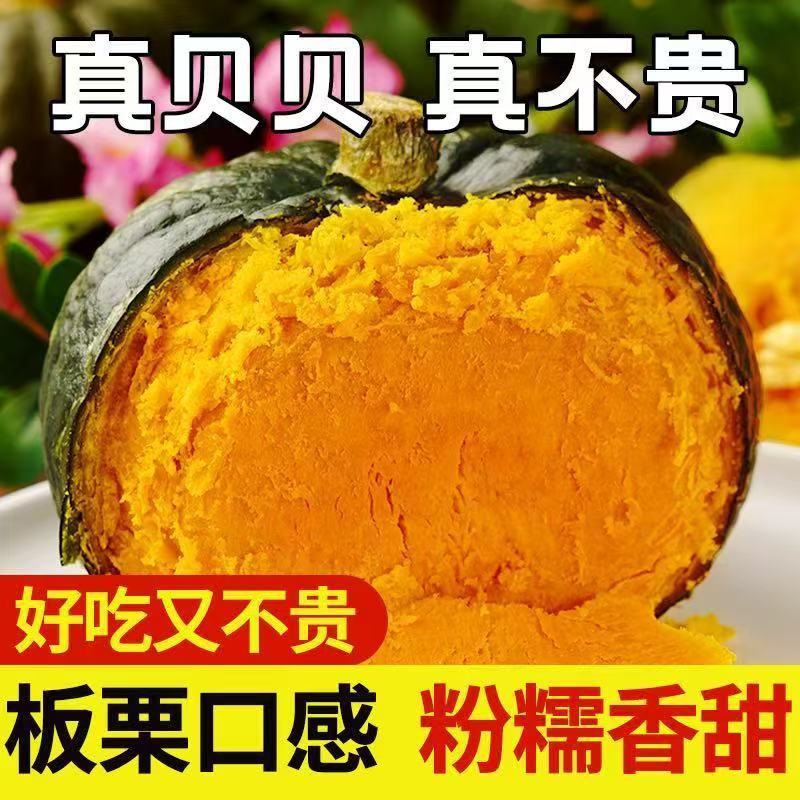 正宗甘肃真贝贝南瓜板栗味大瓜老瓜粉糯香甜宝宝园形辅食南瓜批发